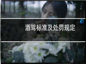 酒驾标准及处罚规定