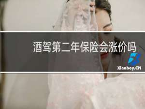酒驾第二年保险会涨价吗