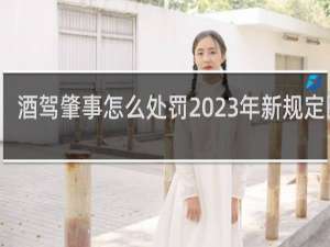 酒驾肇事怎么处罚2023年新规定图片