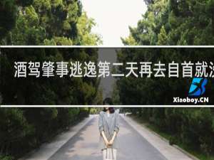酒驾肇事逃逸第二天再去自首就没事