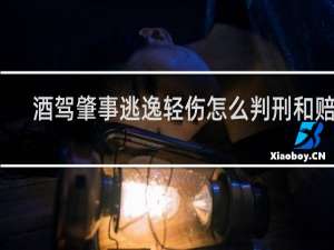 酒驾肇事逃逸轻伤怎么判刑和赔偿