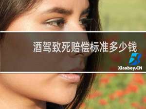 酒驾致死赔偿标准多少钱