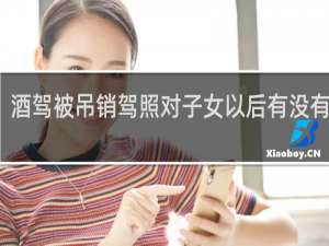 酒驾被吊销驾照对子女以后有没有影响