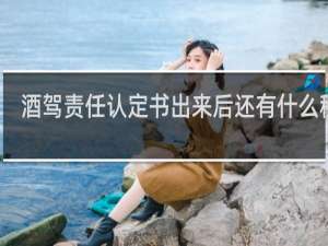 酒驾责任认定书出来后还有什么程序