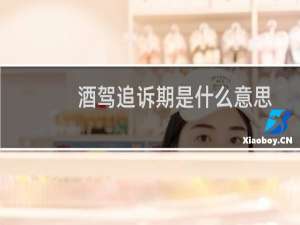 酒驾追诉期是什么意思