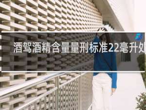 酒驾酒精含量量刑标准22毫升处理
