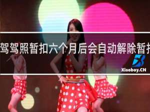 酒驾驾照暂扣六个月后会自动解除暂扣状态吗