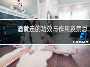 酒黄连的功效与作用及禁忌