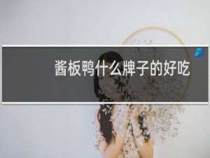 酱板鸭什么牌子的好吃