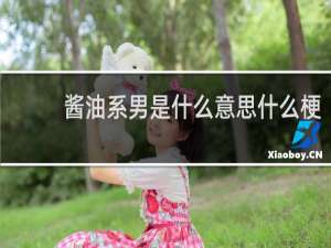 酱油系男是什么意思什么梗
