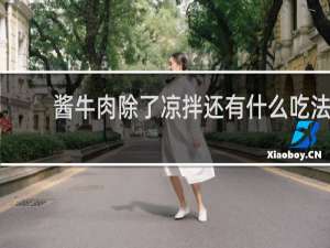 酱牛肉除了凉拌还有什么吃法