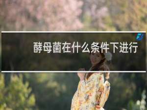 酵母菌在什么条件下进行酒精发酵