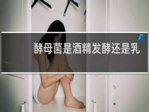 酵母菌是酒精发酵还是乳酸发酵