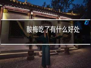 酸梅吃了有什么好处
