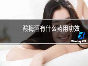 酸梅酒有什么药用功效（酸梅酒有什么功效）