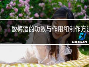 酸梅酒的功效与作用和制作方法