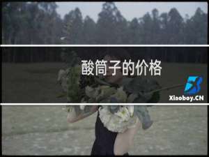酸筒子的价格