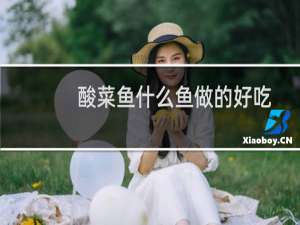 酸菜鱼什么鱼做的好吃