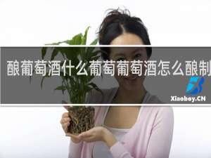 酿葡萄酒什么葡萄葡萄酒怎么酿制好喝