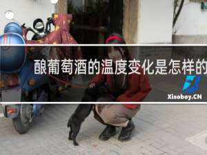 酿葡萄酒的温度变化是怎样的