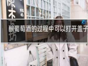 酿葡萄酒的过程中可以打开盖子吗