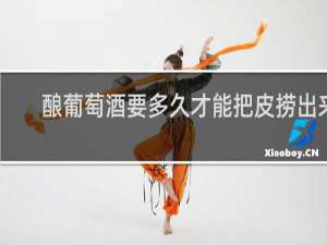 酿葡萄酒要多久才能把皮捞出来