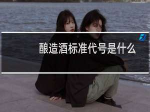 酿造酒标准代号是什么