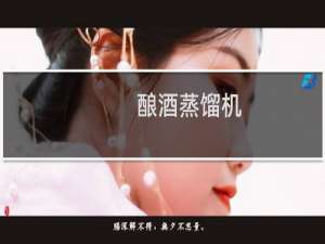 酿酒蒸馏机