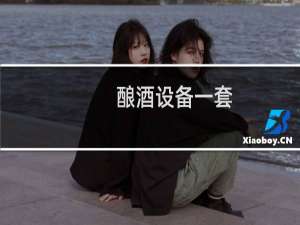 酿酒设备一套