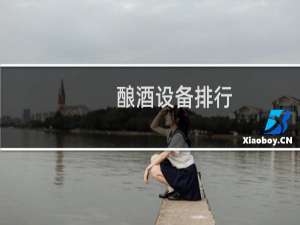 酿酒设备排行