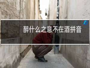醉什么之意不在酒拼音