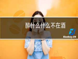 醉什么什么不在酒