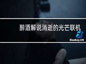 醉酒解说消逝的光芒联机