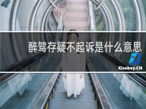 醉驾存疑不起诉是什么意思