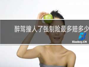 醉驾撞人了强制险最多赔多少