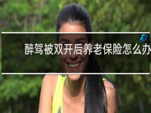 醉驾被双开后养老保险怎么办