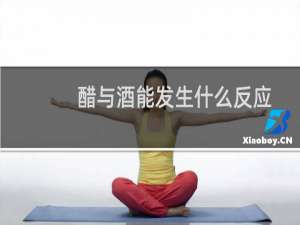 醋与酒能发生什么反应