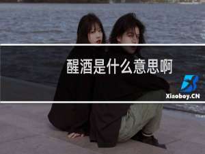 醒酒是什么意思啊（醒酒是什么意思）