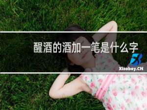 醒酒的酒加一笔是什么字