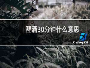 醒酒30分钟什么意思
