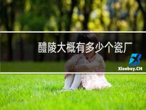 醴陵大概有多少个瓷厂