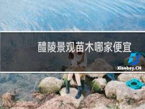 醴陵景观苗木哪家便宜