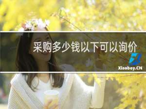 采购多少钱以下可以询价