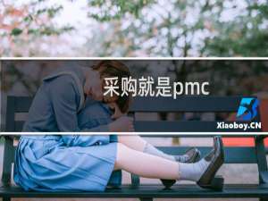 采购就是pmc