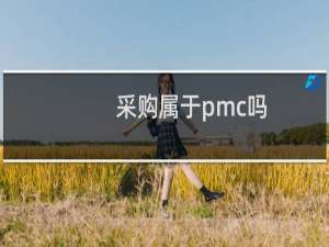 采购属于pmc吗