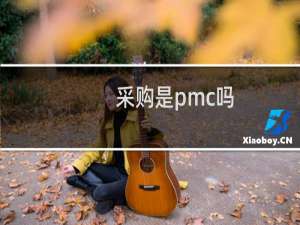采购是pmc吗