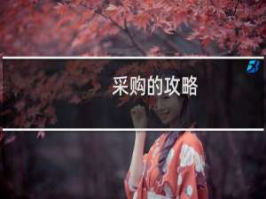采购的攻略