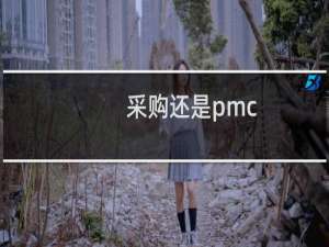采购还是pmc