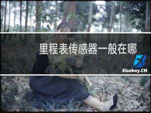 里程表传感器一般在哪