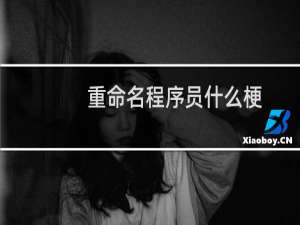 重命名程序员什么梗